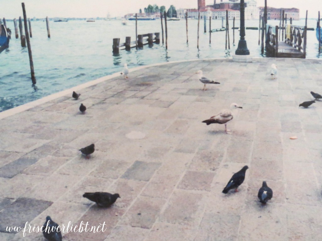 Italien_Venedig_Verona_Gardasee_Frisch_Verliebt_2