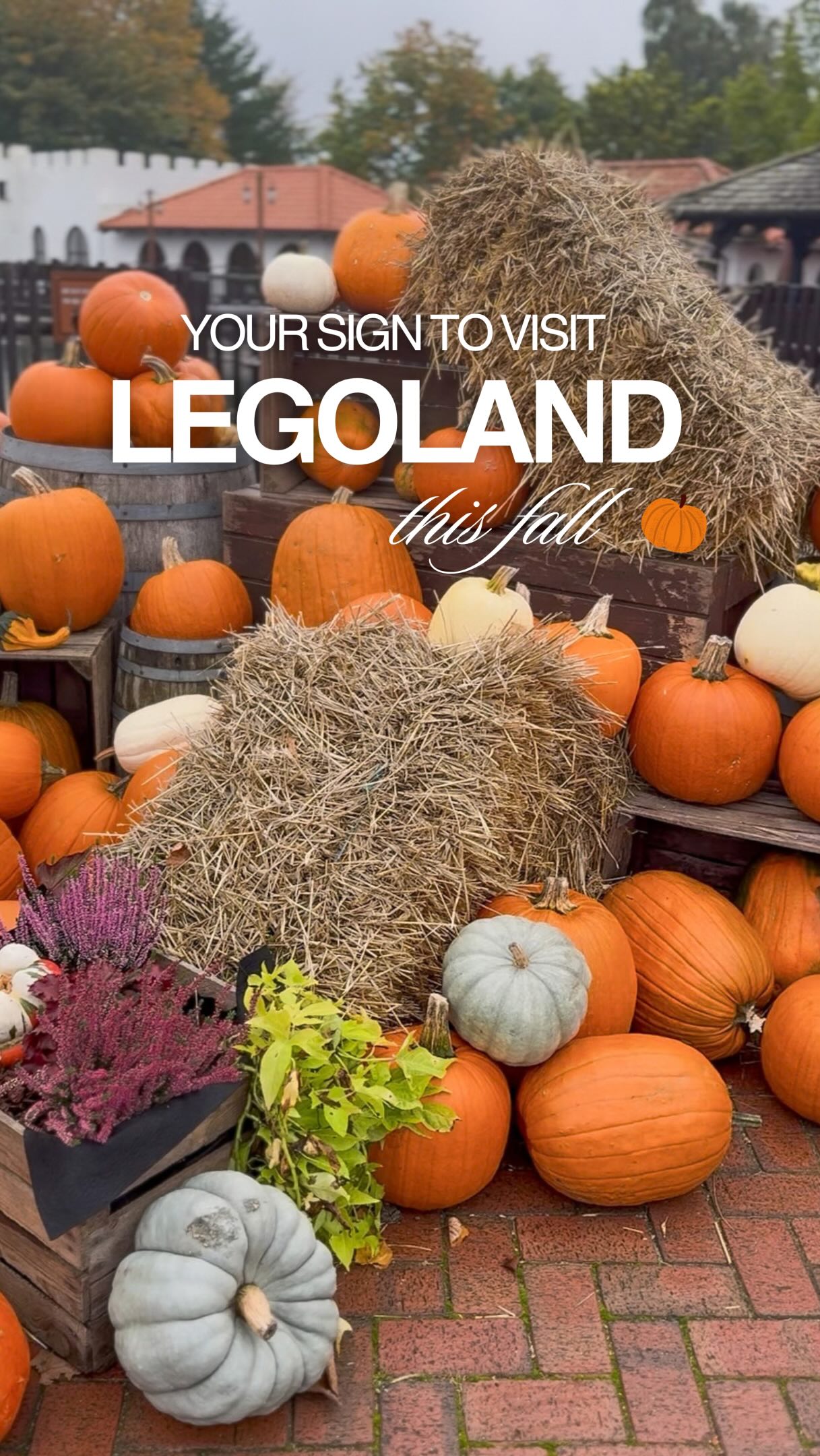 👻 Halloween im LEGOLAND? 🎃

Wir waren Ende September im @legolandbillund und ich glaube, im Herbst gefällt es mir dort am besten. 🍂 Überall Kürbisse, herbstliche Deko und ganz viel Halloween. 🧡 Genau meine Jahreszeit. 😍
