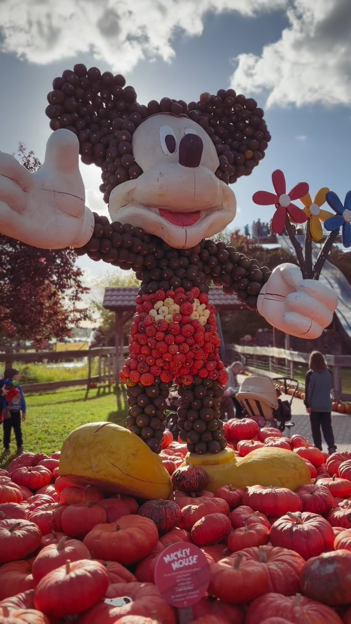 🍁 Meine Persönlichkeit im September und Oktober: 🎃. 

Ich liebe einfach alles am Herbst - egal ob Kürbis, goldenes Licht oder Regenwetter.