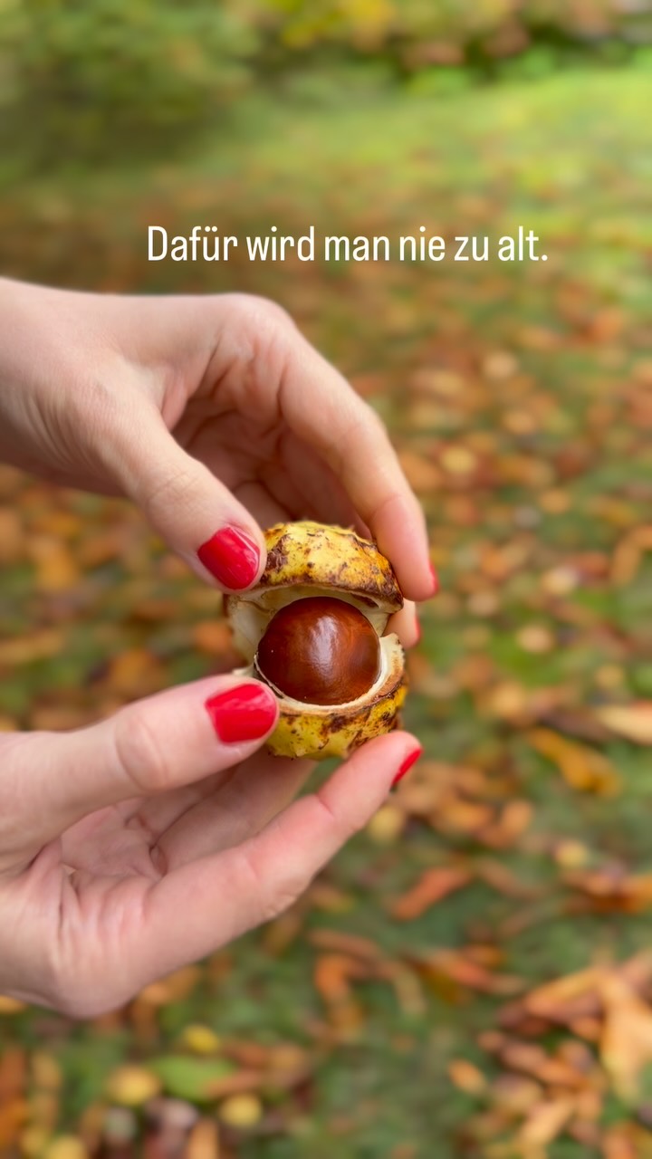 🍁 Herbst-Liebe. Für immer.